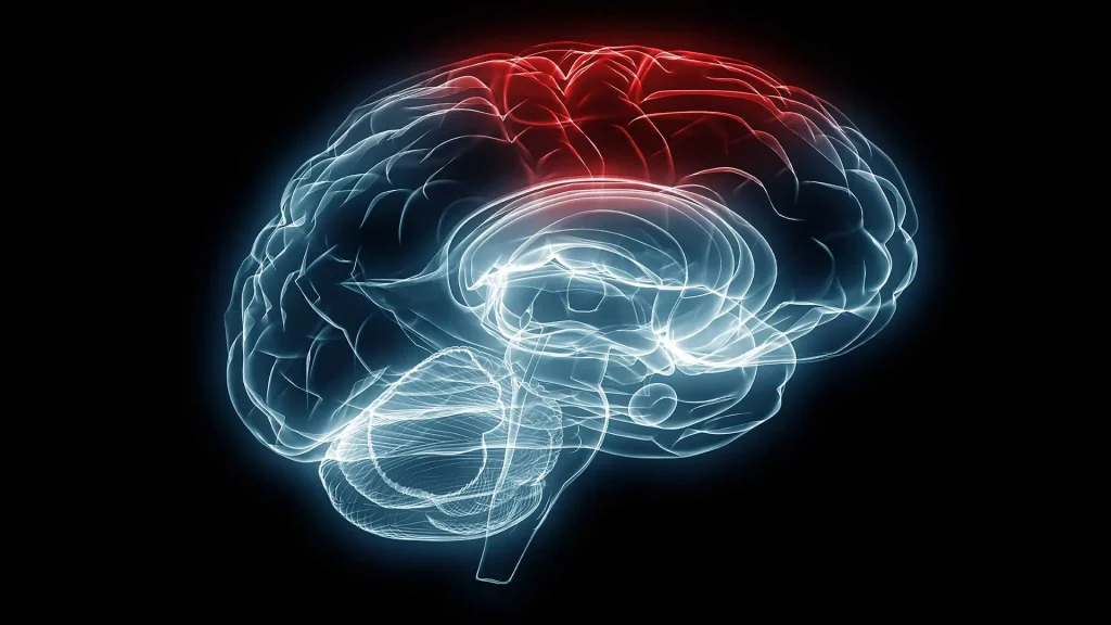 How neuroscience affects our success