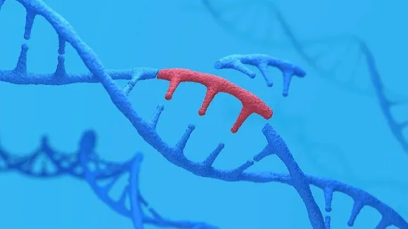 What are the functions of jumping genes?