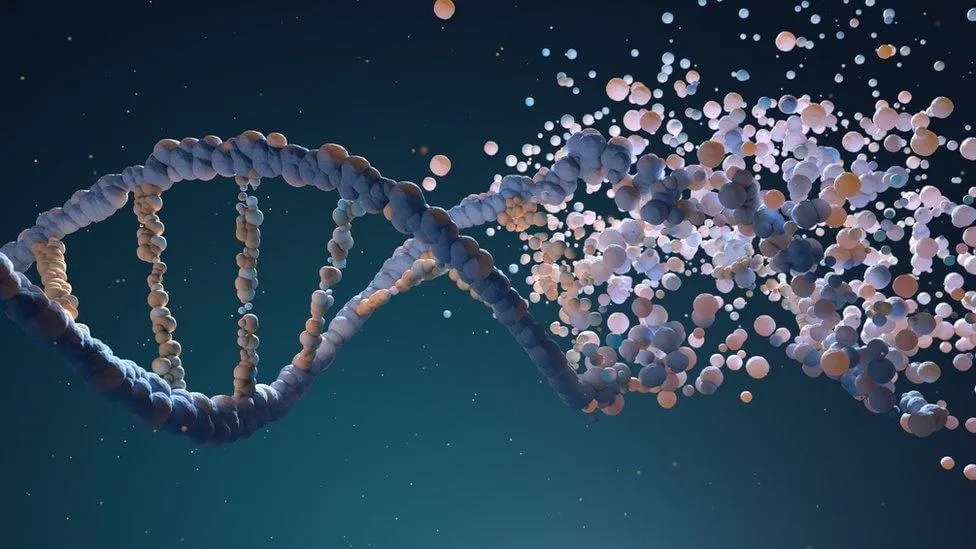 What are the functions of jumping genes