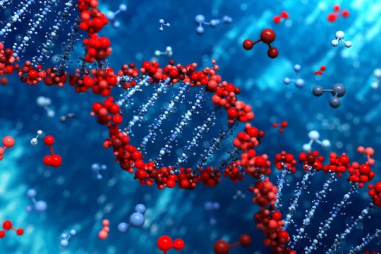 What are the functions of jumping genes?